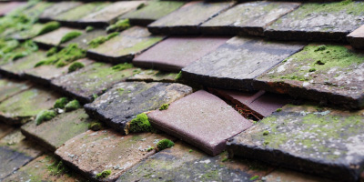 Halam roof repair costs